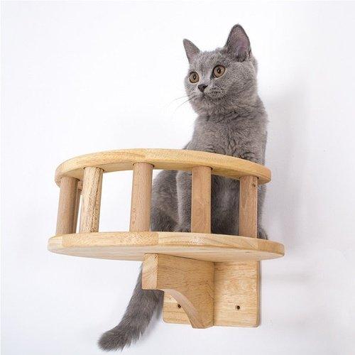 Cat Climbing Wooden Panel