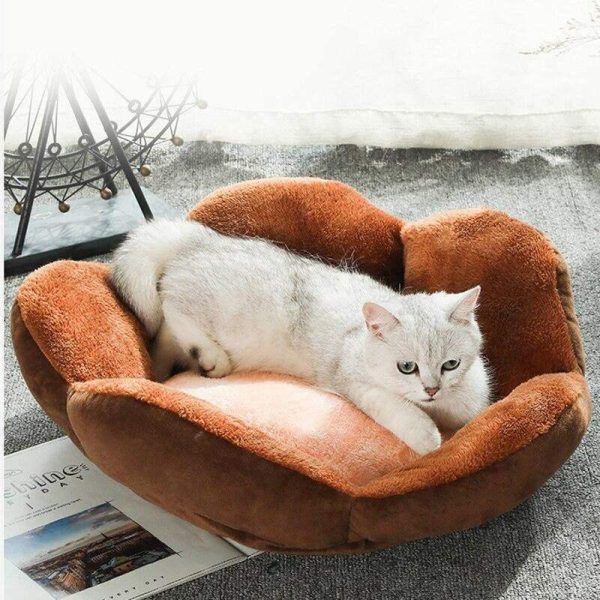 Claw Shape Cat Bed