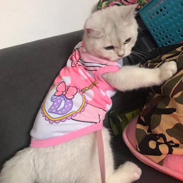 Cute Pet Vest Shirt Costume - Image 2