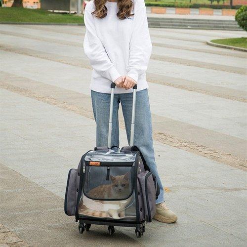 Foldable Transparent Breathable Traveling Cat Carrier With Water Supply - Image 3