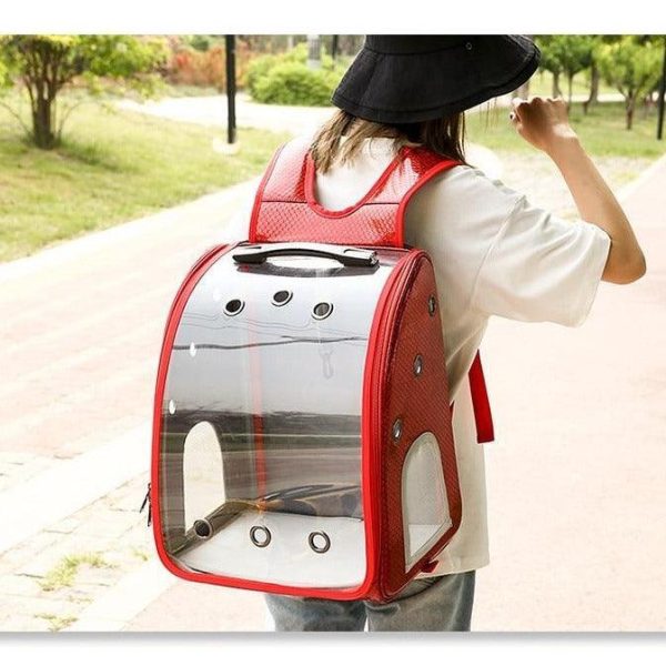 2-1 Portable Transparent Trolley Backpack Cat Carrier - Image 2