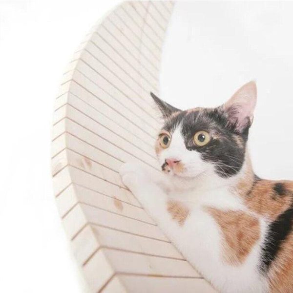 Wall Mounted Solid Wood Cat Jumping Platform - Image 2