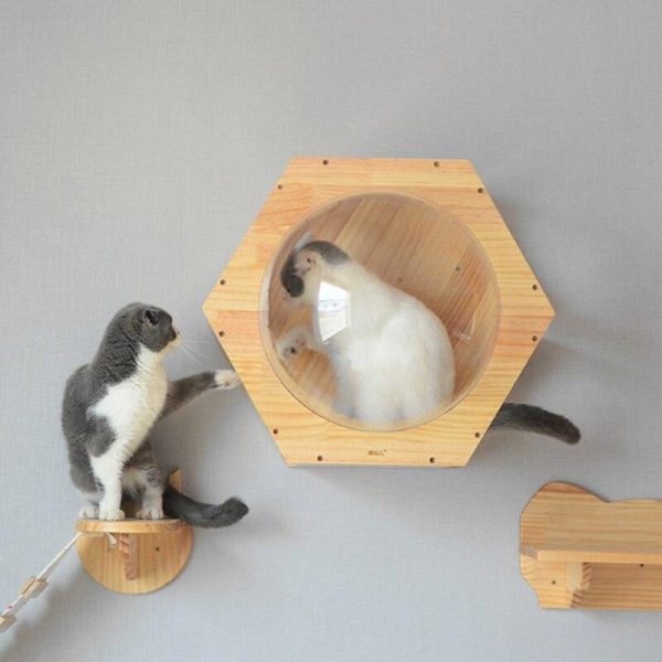 Wall-mounted Cat Climbing Frame