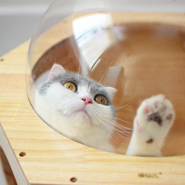 Wall-mounted Cat Climbing Frame - Image 2
