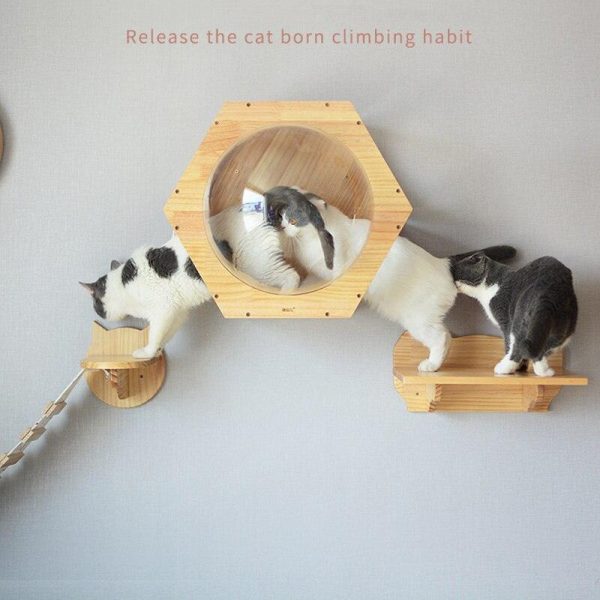 Wall-mounted Cat climbing Frame Cat Tree Solid Wood - Image 11