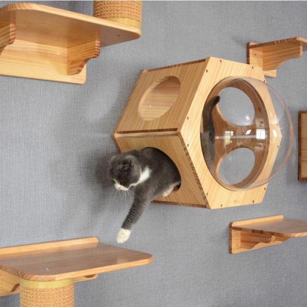 Wall-mounted Cat climbing Frame Cat Tree Solid Wood - Image 10