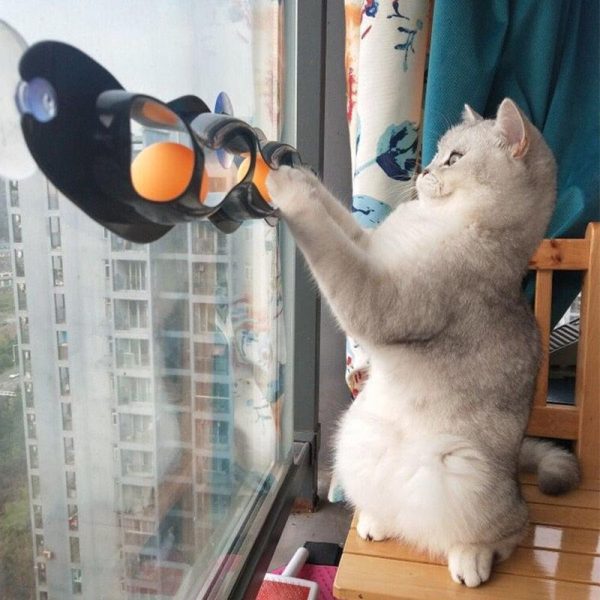 Window Ball Toy For Cats